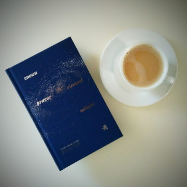 Znowu pragnę ciemnej miłości – Joanna Lech