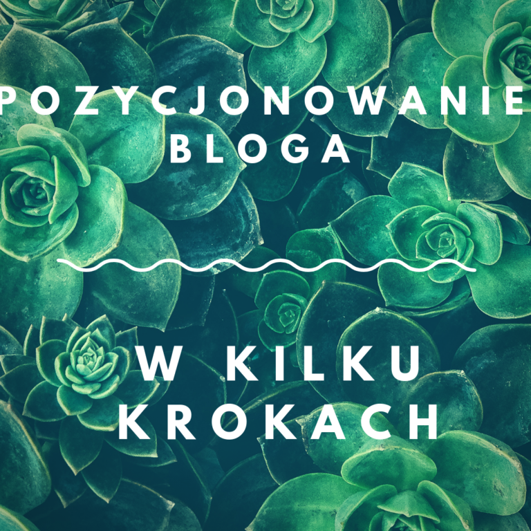 pozycjonowanie bloga